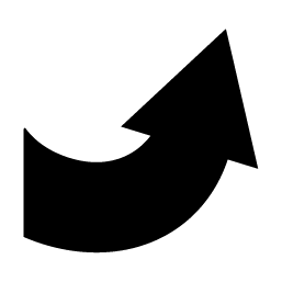 ars 256
